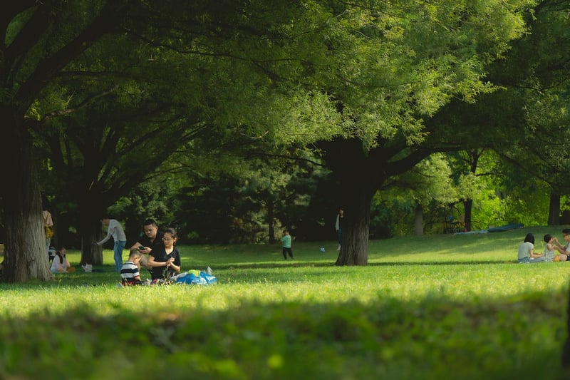 Enchanted Picnic